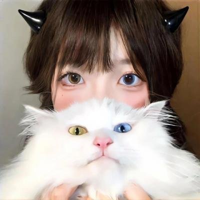 归途如虹